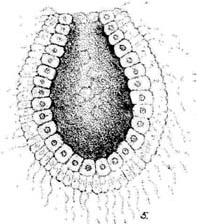 line drawing